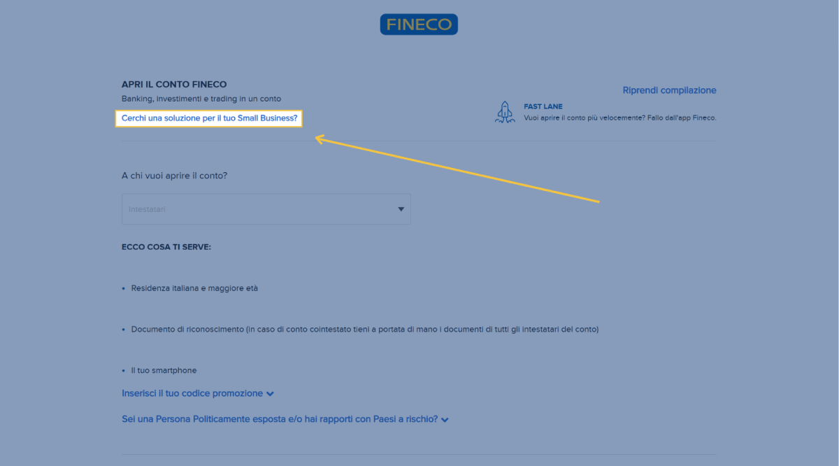 conto fineco small business online
