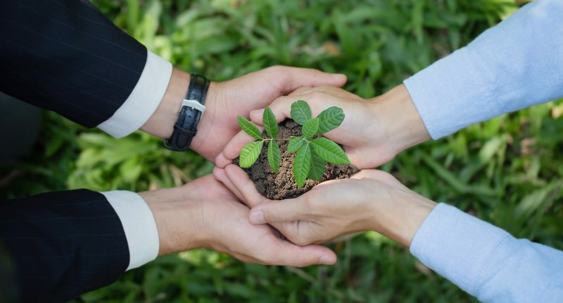 tecnologia net zero aumento fatturato