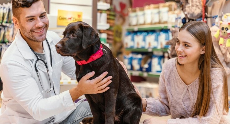 aprire una farmacia veterinaria