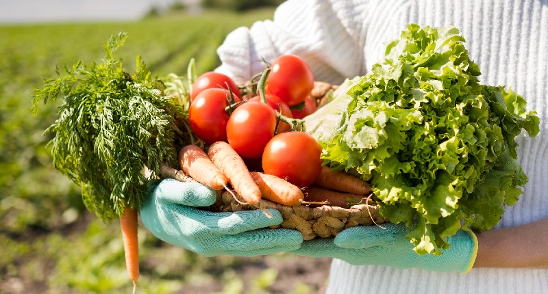 bandi agricoltura emilia romagna