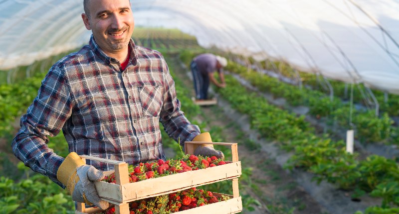 regime di esonero iva nell'agricoltura